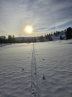 Gabrielsen68_20250210_67a9aa9962804.jpg