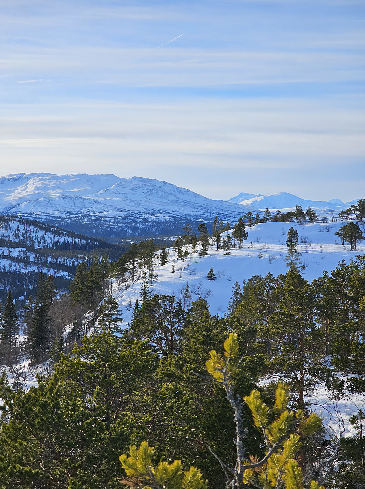 Resfjellet og Snota