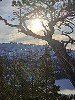 Gabrielsen68_20250210_67a9aa9c9bf64.jpg