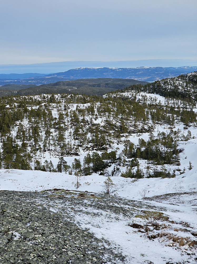 Tilbakeblikk på ruta opp. Forbordsfjellet i bakgrunn.