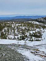 Gabrielsen68_20250210_67a9ac596a30d.jpg