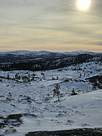 Gabrielsen68_20250210_67a9ac5af40fa.jpg
