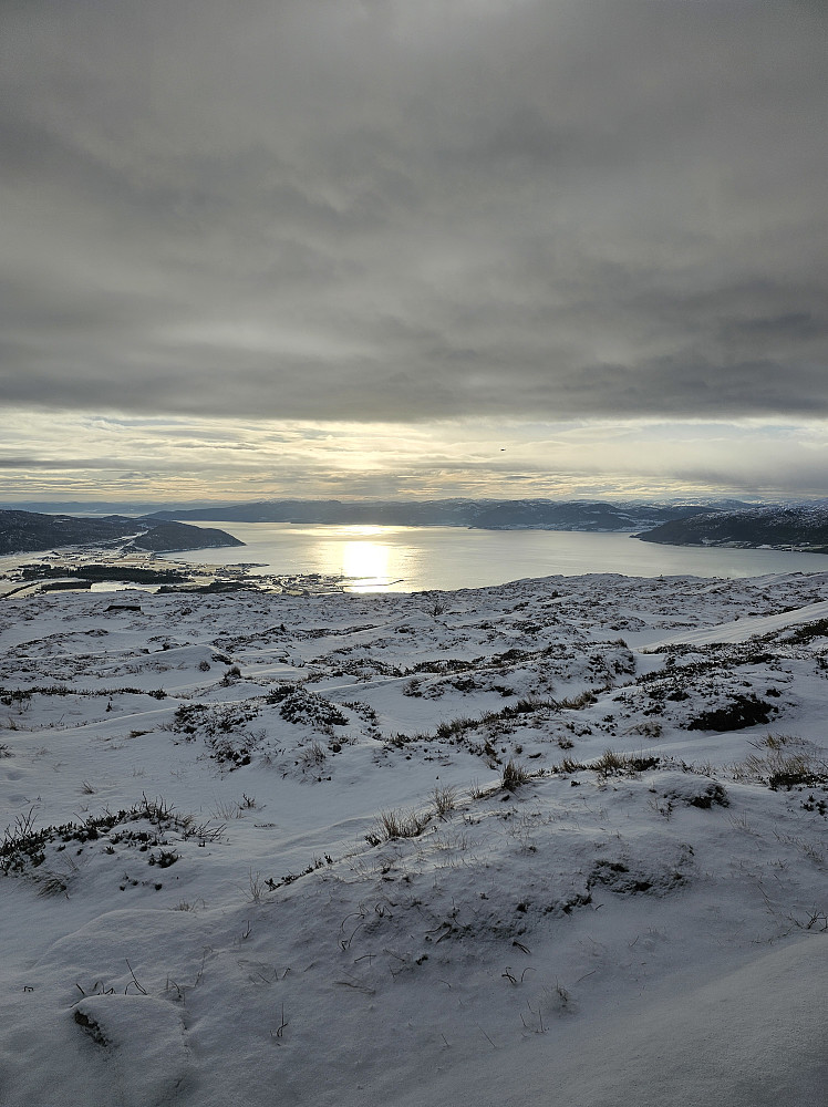 Inn Trondheimsfjorden