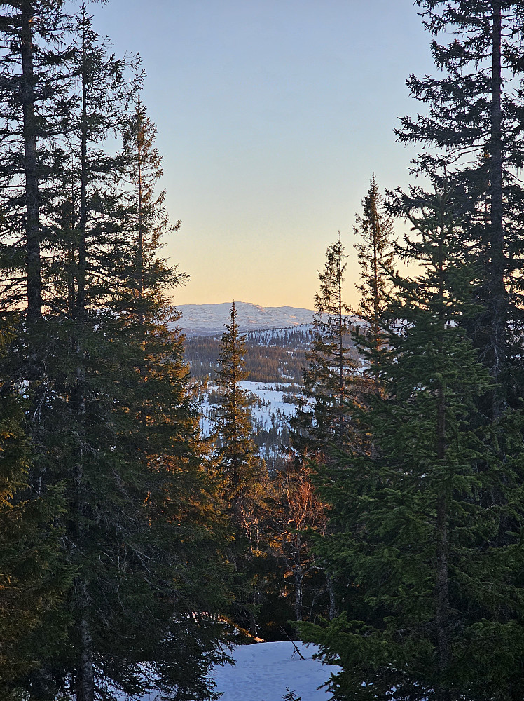 Litt utsikt fra toppen mot Irfjellet.