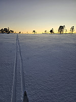Gabrielsen68_20250212_67ac5396dc2e7.jpg