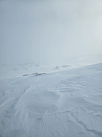 Gabrielsen68_20250331_67ea74a24dc32.jpg