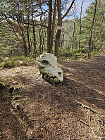 Gabrielsen68_20250331_67ea762f40cdd.jpg