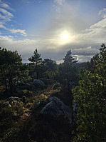Gabrielsen68_20250331_67ea763a5d28d.jpg
