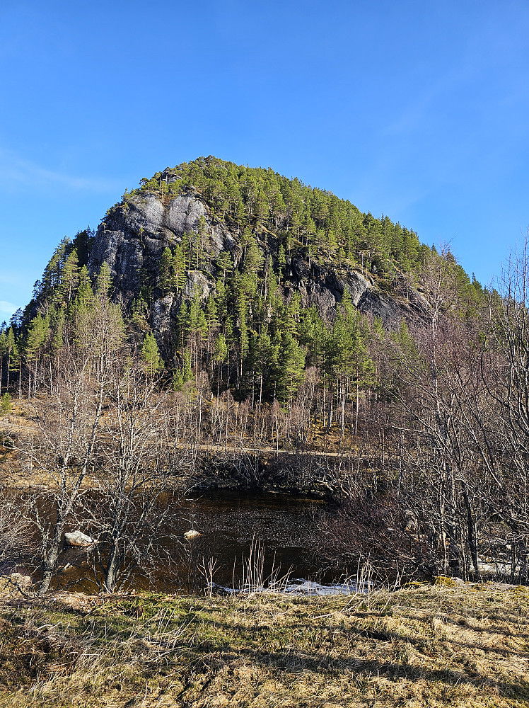 Oppstigning fra høyresiden. Utallige hjortetråkk.