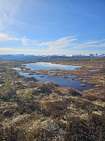 Gabrielsen68_20250407_67f3946366a14.jpg