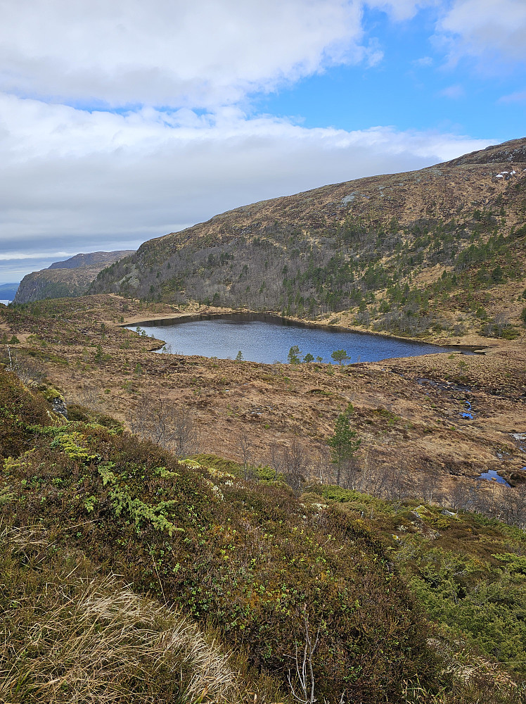 Nordfjelltjønna