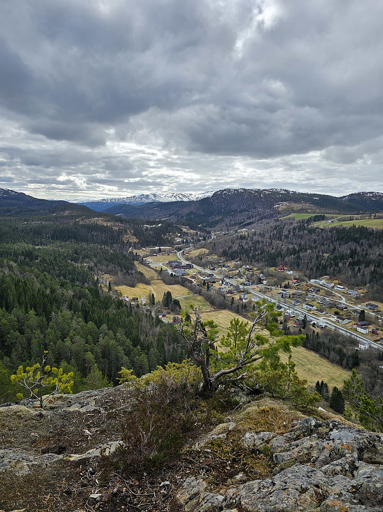 Resfjellet i Sør Vest