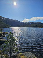 Gabrielsen68_20250422_680730ef9f861.jpg