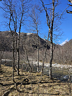 Gabrielsen68_20250422_680730fac4fee.jpg