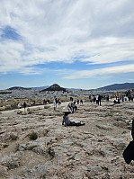 Gabrielsen68_20250526_683418e2e0213.jpg