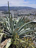 Gabrielsen68_20250526_68341935b523e.jpg