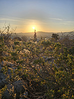 Gabrielsen68_20250526_68341a2c78714.jpg