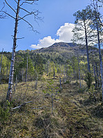 Gabrielsen68_20250526_68341ad34ec4b.jpg