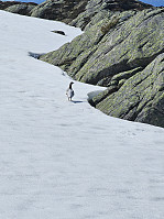 Gabrielsen68_20250526_68341ae264730.jpg