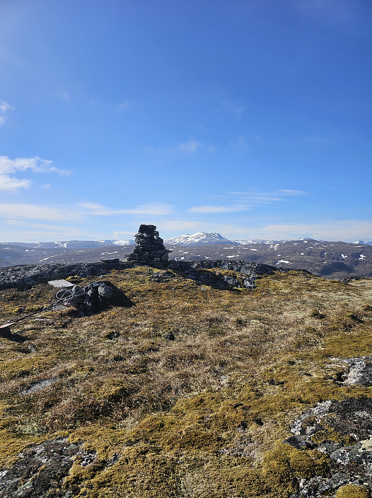 Hollbufjellet