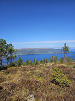 Gabrielsen68_20250526_68341efb5a64f.jpg