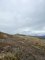 Gabrielsen68_20250612_684ab7552afc5.jpg