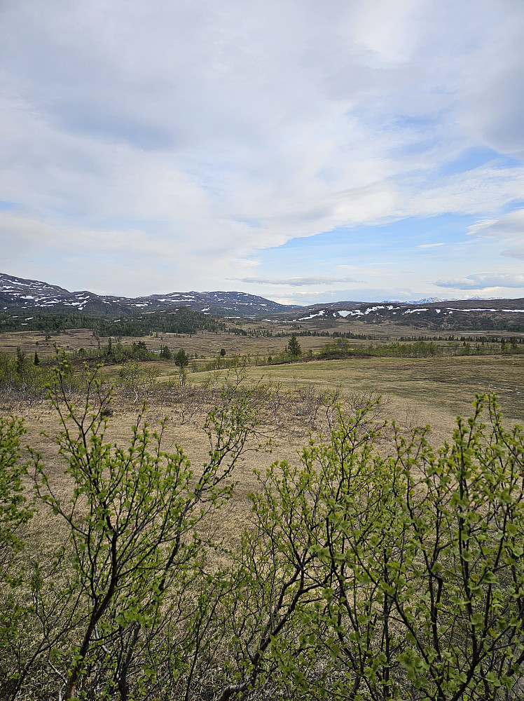 Mot Gragjelfjellet