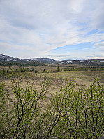 Gabrielsen68_20250612_684acc9f0bd68.jpg