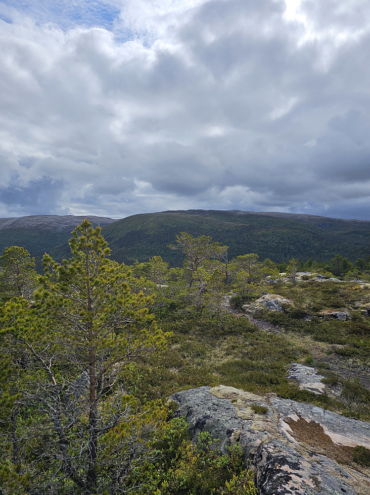 Heimsfjellet