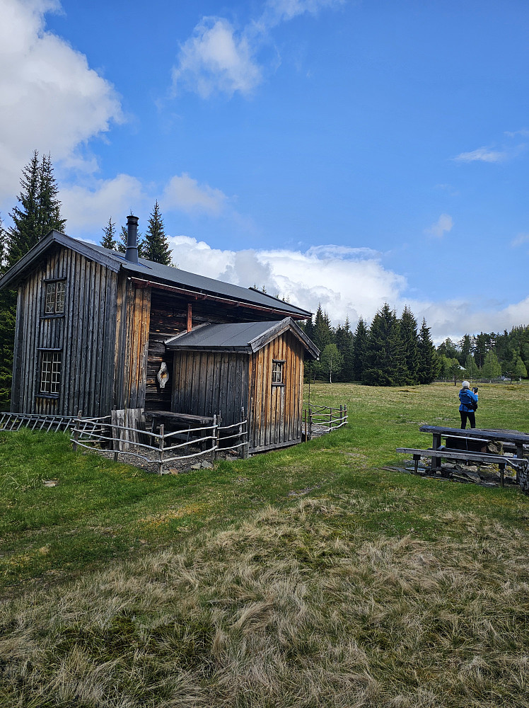 Skåra