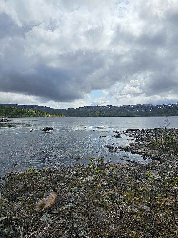 Hølsjøen