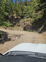 Gabrielsen68_20250715_687601baf2e37.jpg