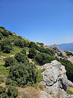 Gabrielsen68_20250715_687601bd819cd.jpg