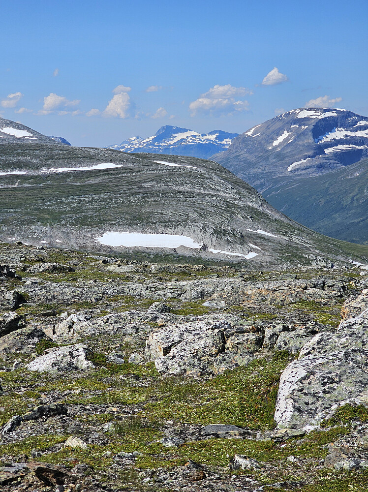 Snota