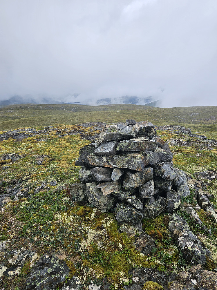 Vasslifjellet
