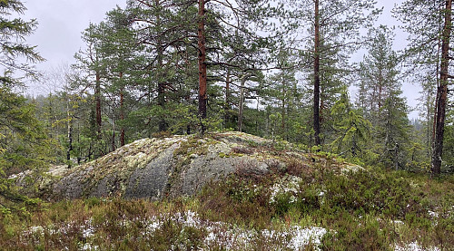 Toppen fra vest