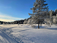 paalvic_20240107_659a7d4719892.jpg