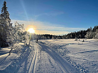 paalvic_20240107_659a7d479cc84.jpg
