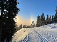 paalvic_20240107_659a7d48218d1.jpg