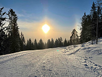 paalvic_20240107_659a7d491f689.jpg