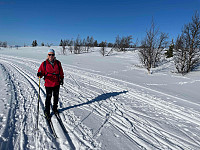 paalvic_20240311_65eee94d5ac19.jpg
