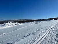 paalvic_20240311_65eee94dd88be.jpg
