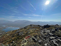 paalvic_20240906_66db12410fd89.jpg