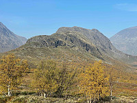 paalvic_20240906_66db124188919.jpg