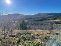 paalvic_20240918_66eaf1f8ef367.jpg