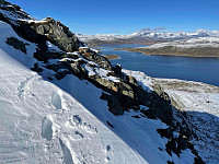 paalvic_20240926_66f574f9ba365.jpg