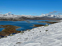 paalvic_20240926_66f574fc6bd48.jpg