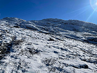 paalvic_20240926_66f574fe0e6cc.jpg