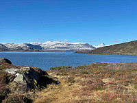 paalvic_20240926_66f574ff25b64.jpg