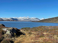 paalvic_20240926_66f574ffa7e2f.jpg